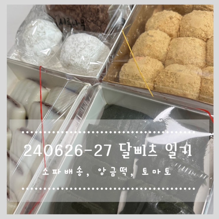  240626 240627 달삐츠일기 :: 소파배송, 앙금떡, 토마토