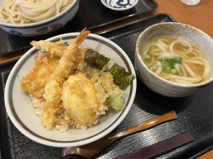  오사카 이마미야에비스역 다이코쿠초역 사누키 우동 맛집 추천 텐코모리