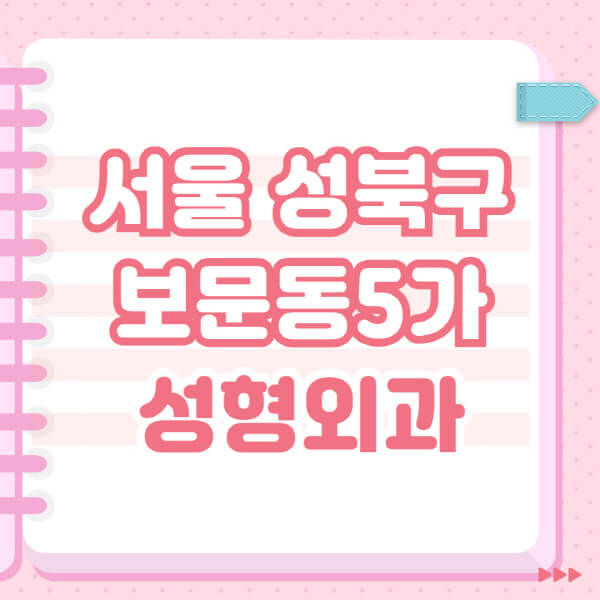  서울 성북구 보문동5가 성형외과, 잘하는 곳 & 블랙리스트