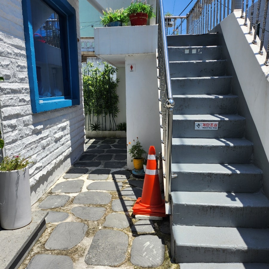 트리안 사진 2