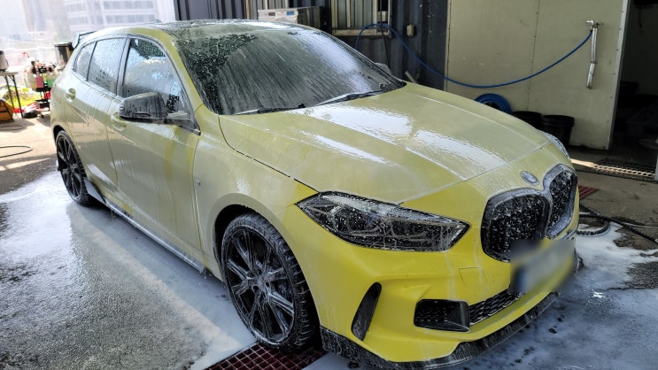  김포외장디테일링세차 벌레의 공격을 받은 BMW M1 꽃을 피우다