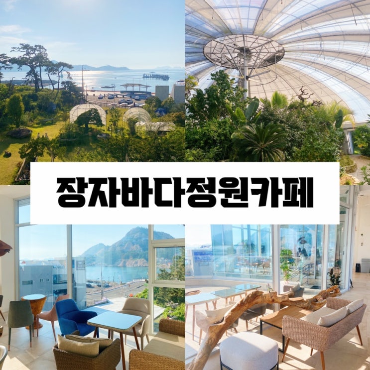  군산 장자도 장자바다정원카페 : 내돈내산 대형카페 오션뷰카페 선유도