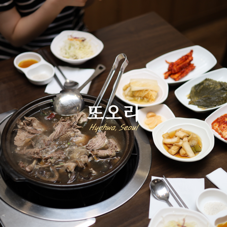 대학로오리 맛집 또오리 능이 한방백숙 대학로오리 맛집 또오리 능이 한방백숙