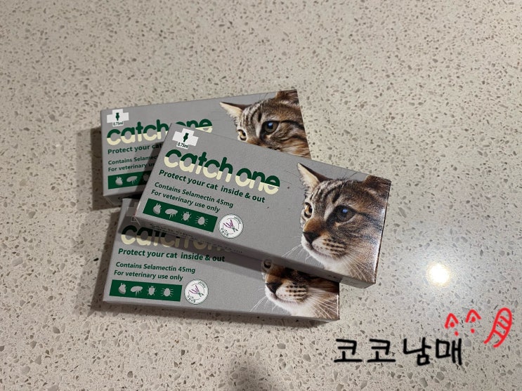  [내돈내산] 고양이 바르는 심장사상충약 캐치원(catch one) 사용법