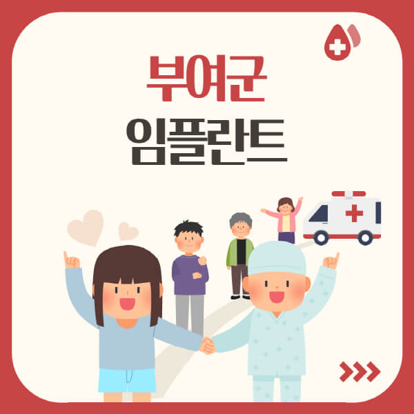  부여군에서 수면, 원데이, 오스템 임플란트 가격·유명한 장소 알아보기