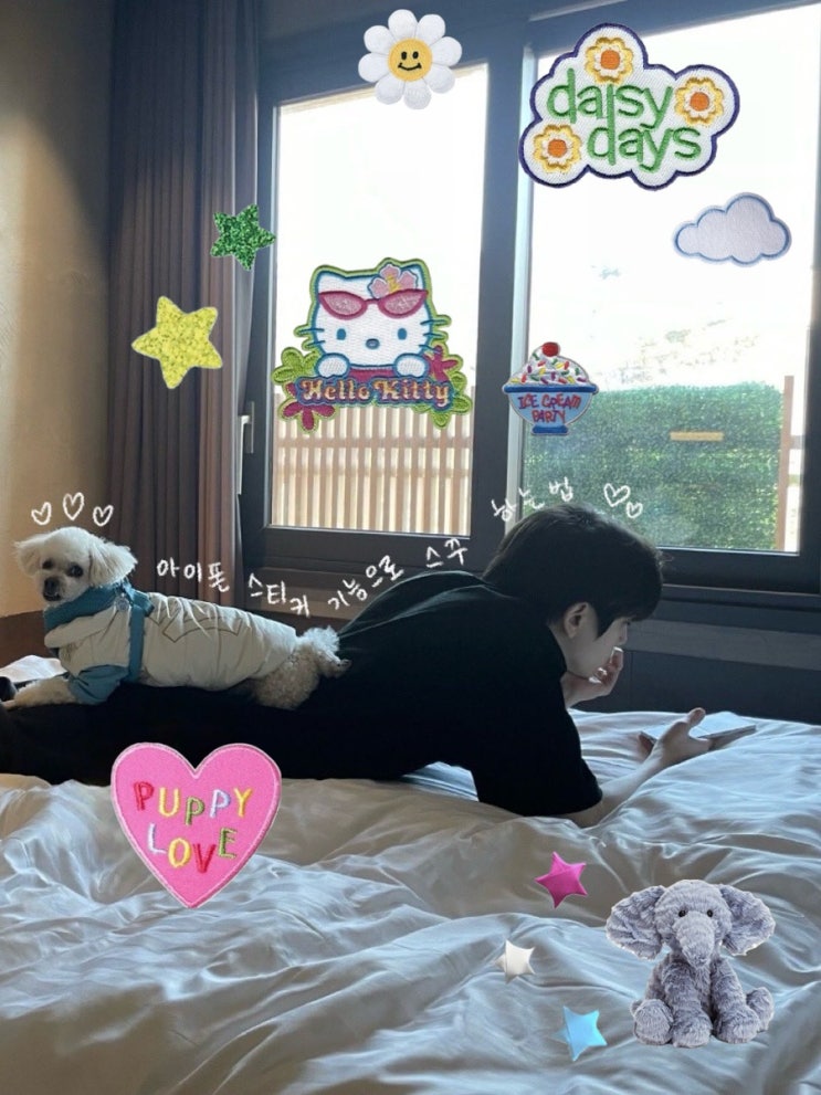  요즘 유행하는 스꾸! 아이폰 스티커 추가 기능 사용하는 법, 아이폰 스티커 이미지 공유