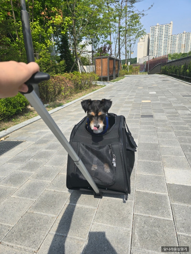 사진 10
