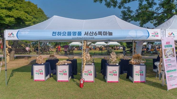  2024 서산 해미읍성 육쪽마늘축제 기간,주차,놀거리,먹거리 후기
