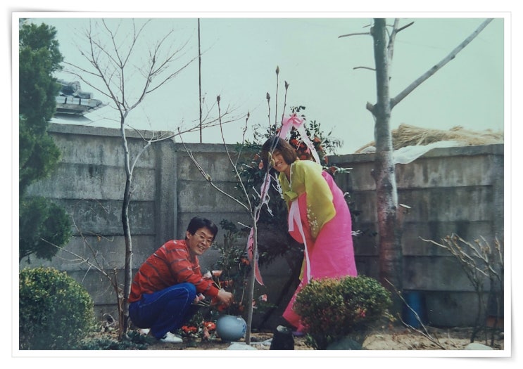 <b>조선의</b> 사랑꾼 <b>이용식</b> 사위 <b>신혼여행</b>을 보면서