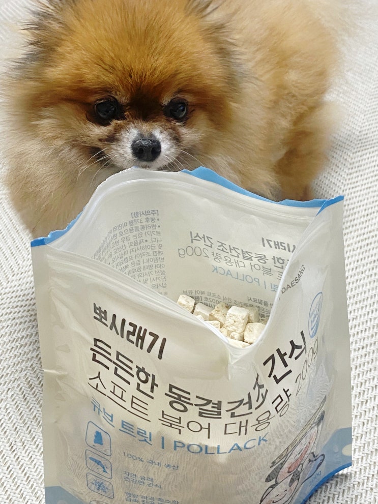  뽀시래기 든든한 북어트릿 대용량, 반려동물 기력회복 간식으로 추천!