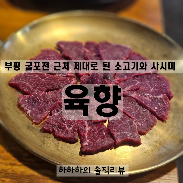  부평소고기 저렴한 가성비맛집 육향 육사시미 처음 맛보다