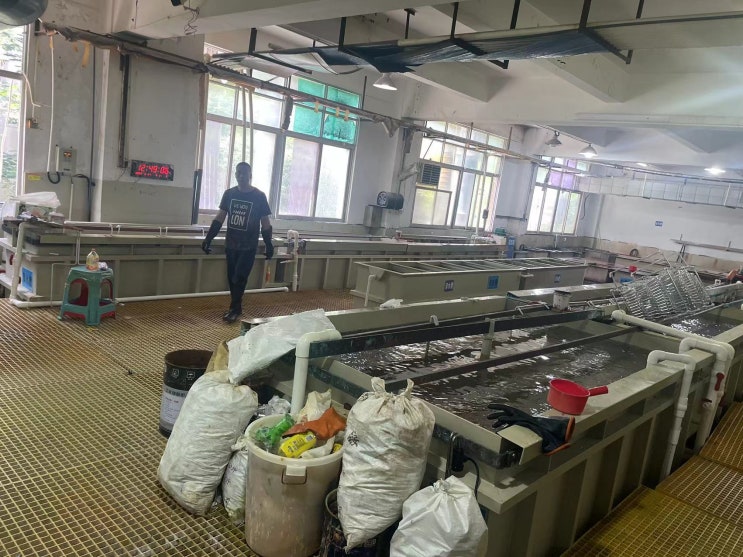  메이크업 브러쉬 중국 현지 공장 방문 oem 제작 공정 네일 붓 더스트 세필 블러셔 스퀘어 브러시 주문 생산공장