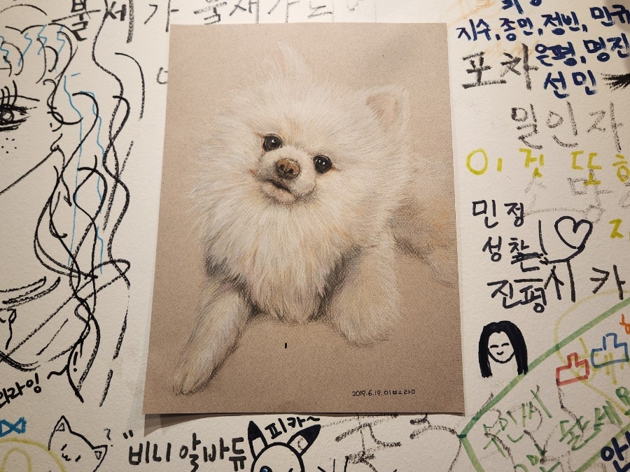 불세 사진 4