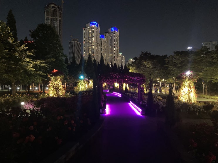  송도동 해돋이 공원