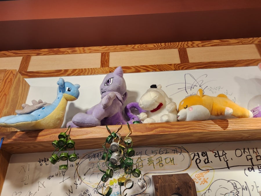 불세 사진 5
