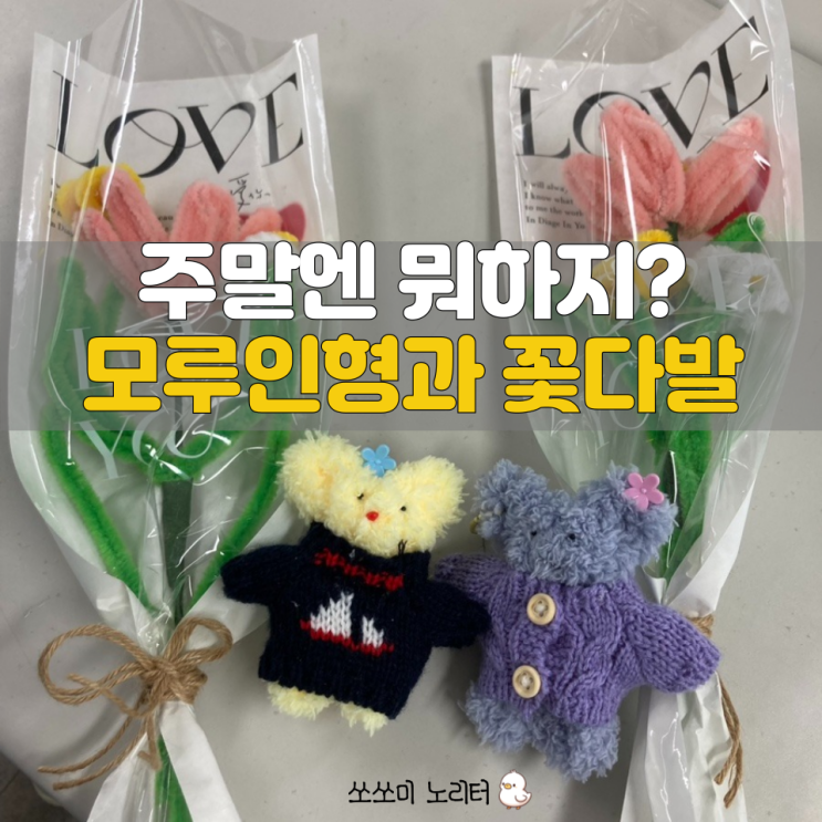  포토덤프 주말 취미생활 모루인형과 모루꽃다발 부제는 만오천보...