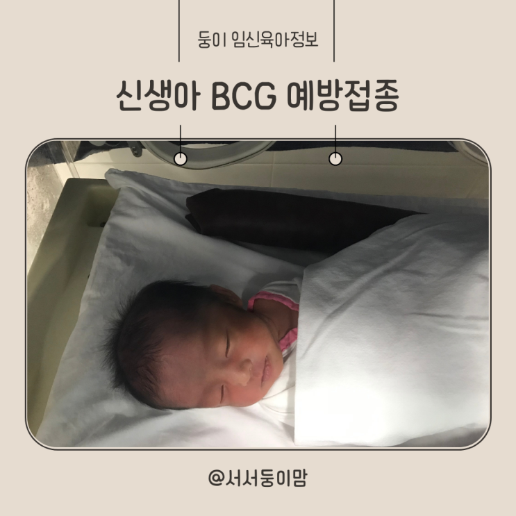  신생아 BCG 경피용 피내용 차이점 접종 시기 불주사
