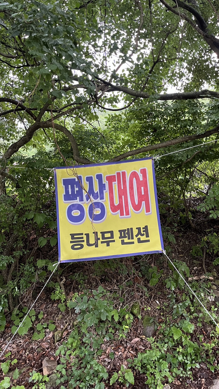 Deungnamupensyeon photo 5