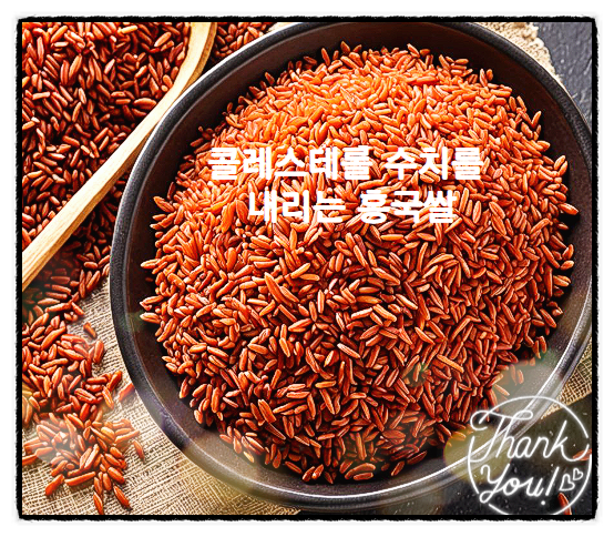  홍국쌀 효능 홍국쌀 먹는법