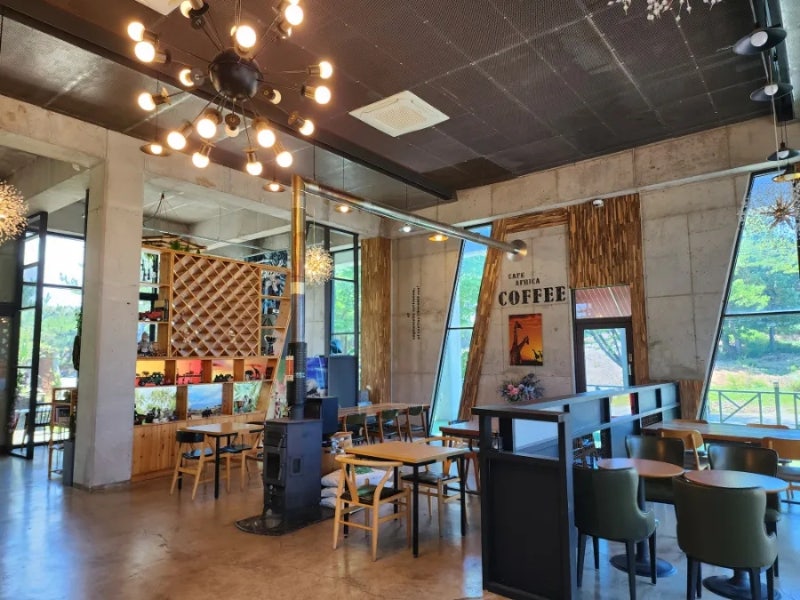 사진 8