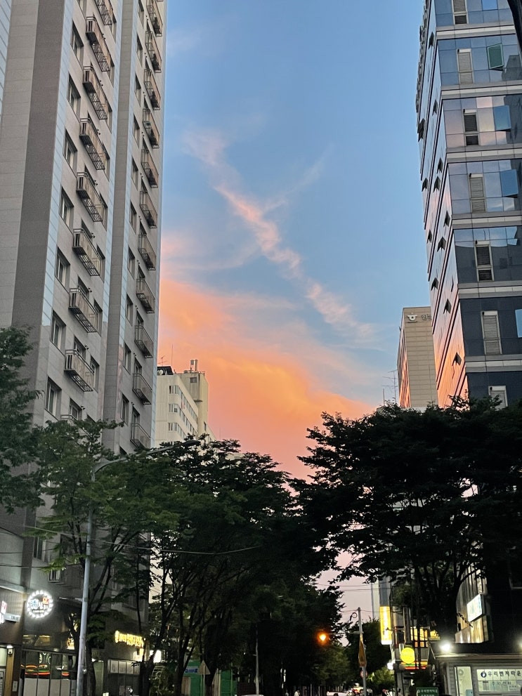  <포토덤프챌린지> 이건 또 뭐지 그냥 내 일상 올리면 되는거죠? : 1