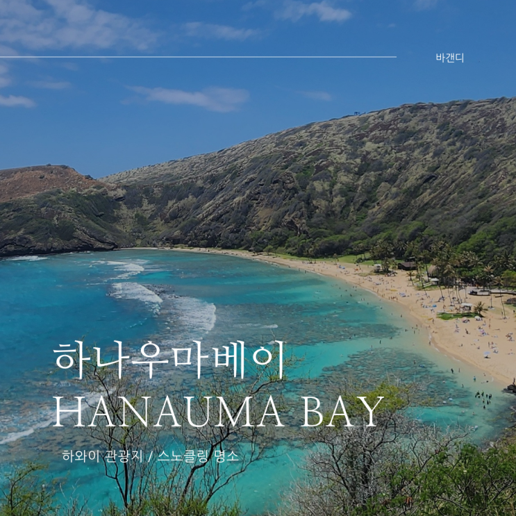 하와이 하나우마베이 스노클링 입장료 주차 준비물 아쉬운점 및 꿀팁
