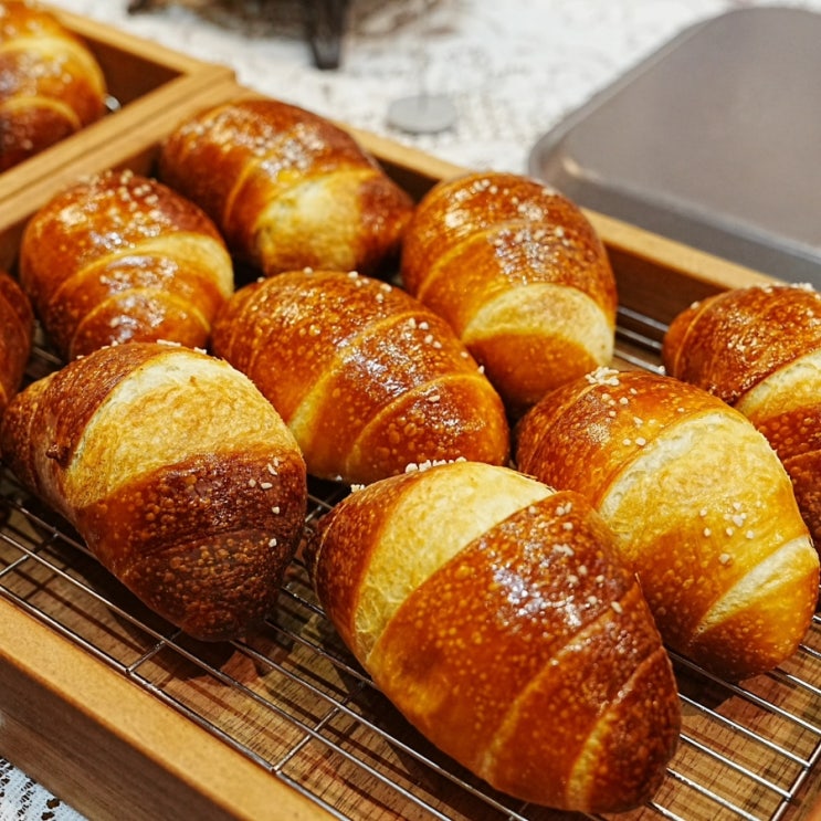  서귀포 카페 추천 경성살롱 색다른 분위기, 맛있는 음료와 디저트 맛보기(1층 1탄)