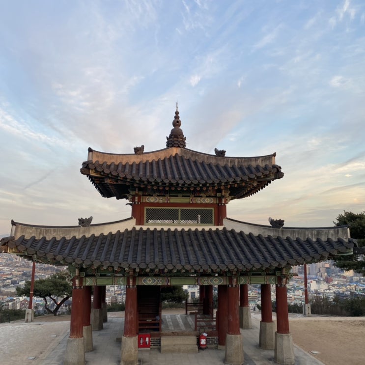  일동이의 상반기 일상