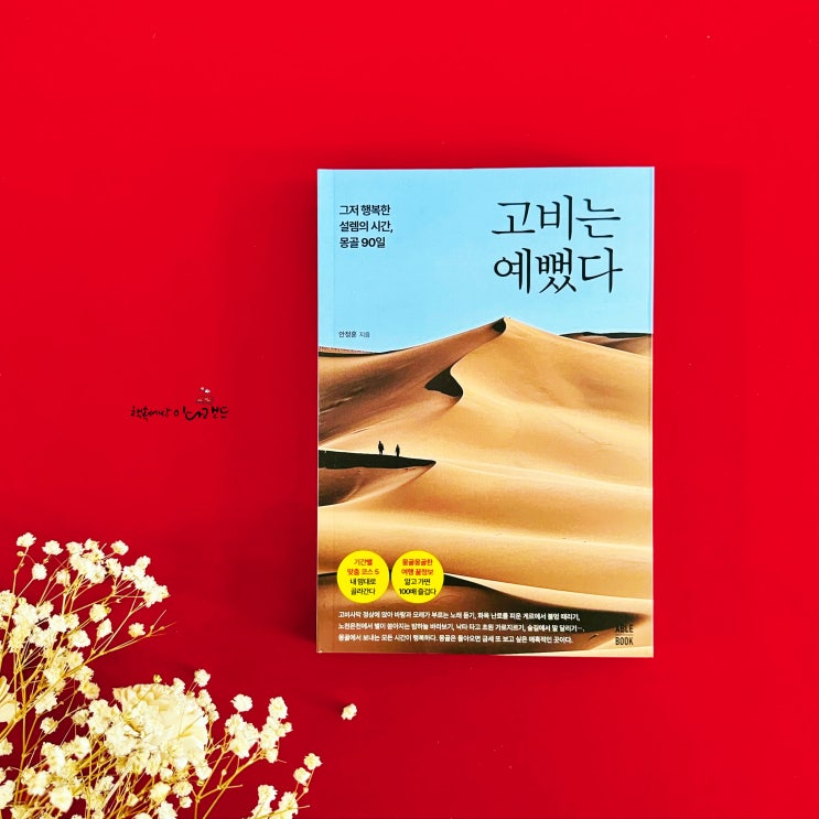  여행 에세이 추천, 몽골 여행 100배 즐기는 꿀팁 '고비는 예뻤다'
