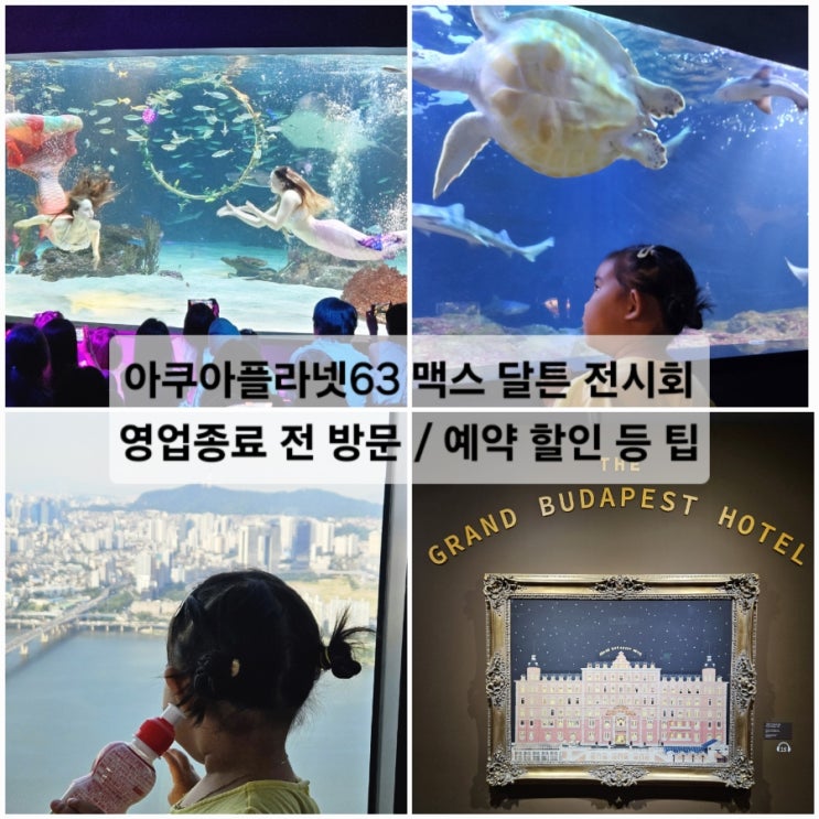  아쿠아플라넷63 맥스 달튼 전시회 영업종료 전 방문 / 예약 할인 등 팁