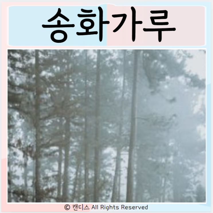  송화가루 효능 알레르기 주의사항