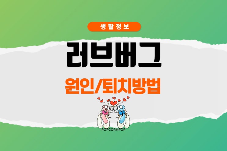  러브 버그 익충 특징 급증 원인 퇴치 방법
