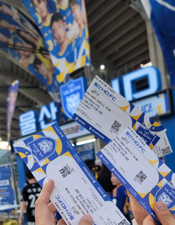 울산HD 축구 직관 / vs경남 코리아컵, K리그1 대구전, <b>설영우</b>... 