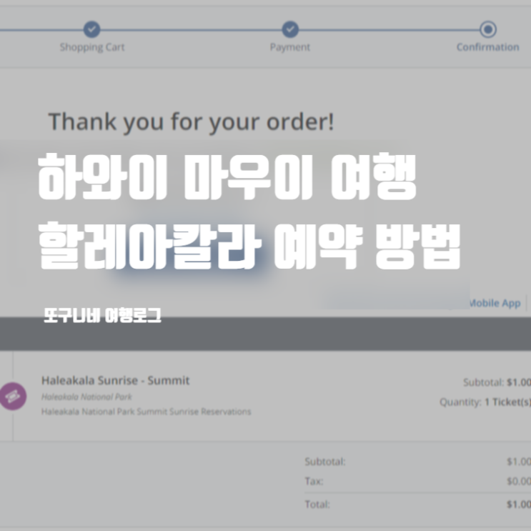  하와이 마우이 여행 할레아칼라 예약 방법