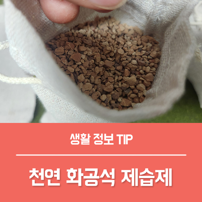  천연 화공석 옷장 제습제, 옷장 신발냄새 제거까지 싹!
