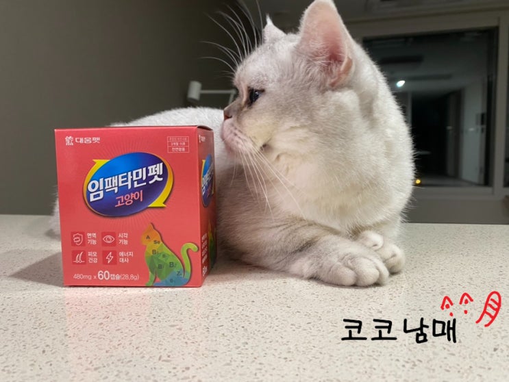  고양이 종합 영양제 대웅펫 임팩타민펫