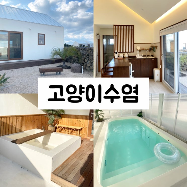  제주 구좌읍 김녕 감성 독채숙소 고양이수염 A동 풀빌라