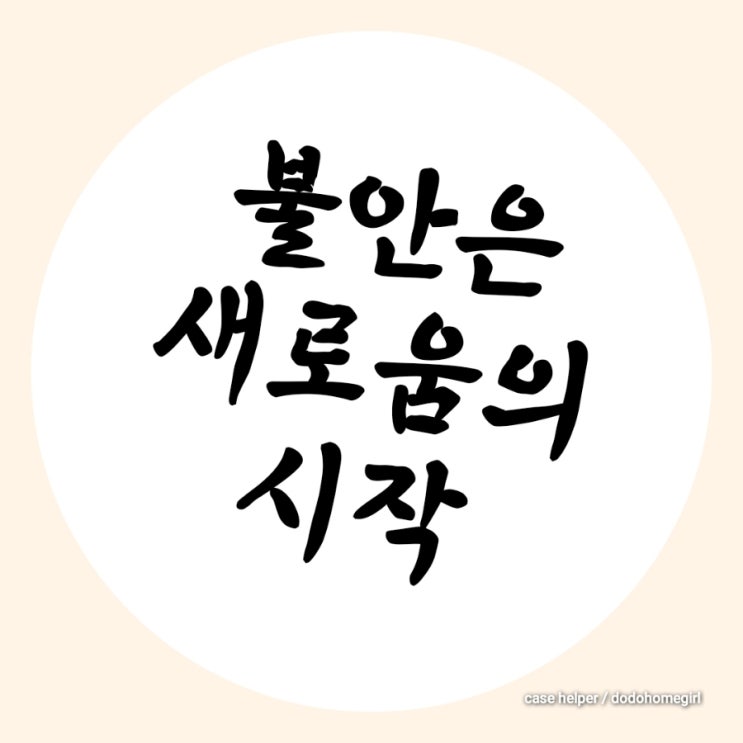 당근자판기 밀머스 단타 경매 오프라인 후기 feat. 불안은 새로운 시작을 알리는 성공의 과정