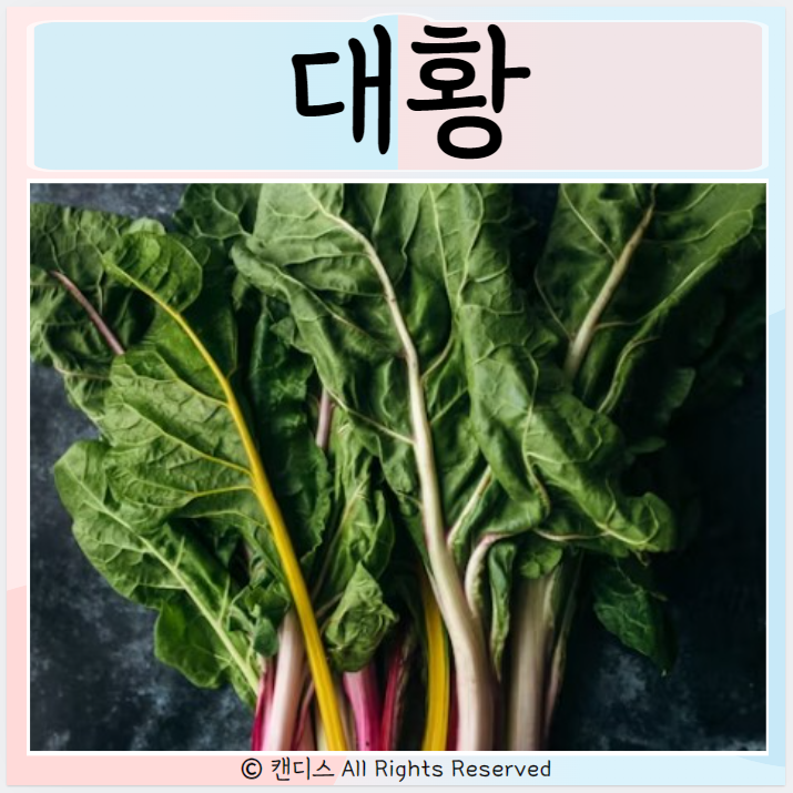  대황효능 먹으면 좋은점들은? 부작용