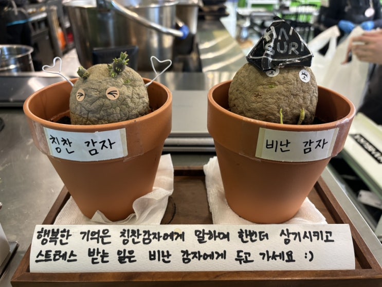  6월 4주 일상 - 스트레스 멈춰! | 서울시립미술관(SeMA), 하우스 오브 신세계, 영화제 티켓팅 실패, 관극