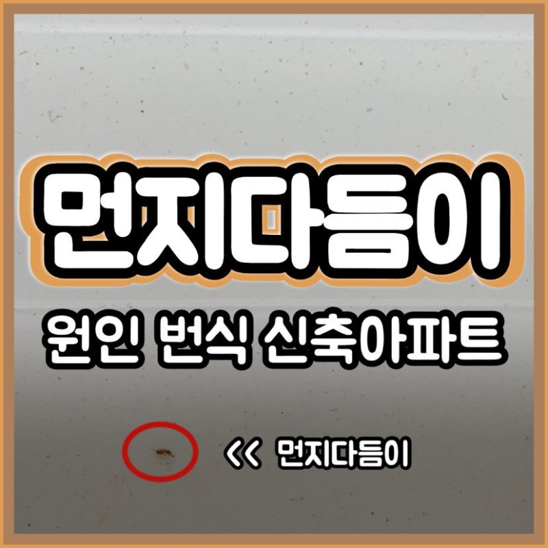 먼지다듬이 생기는 이유 원인 신축아파트 / 습도 번식 알 물림 / 옷장 쇼파 침대 창틀