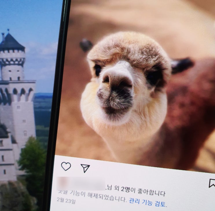  인스타 댓글 숨기기 취소 해제 및 댓글 제한 설정 방법