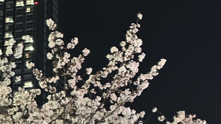  Flower Power