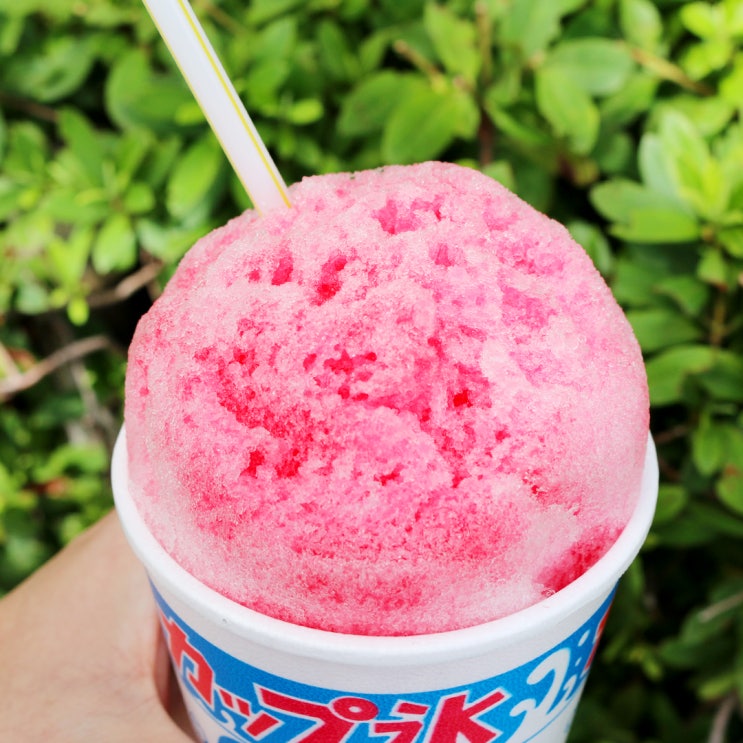  [일본 도쿄] 도쿄 아사쿠사 센소지 디저트 맛집 추천! 아사쿠사 멘치 카츠·일본빙수 (짱구 음식 도장깨기 03)