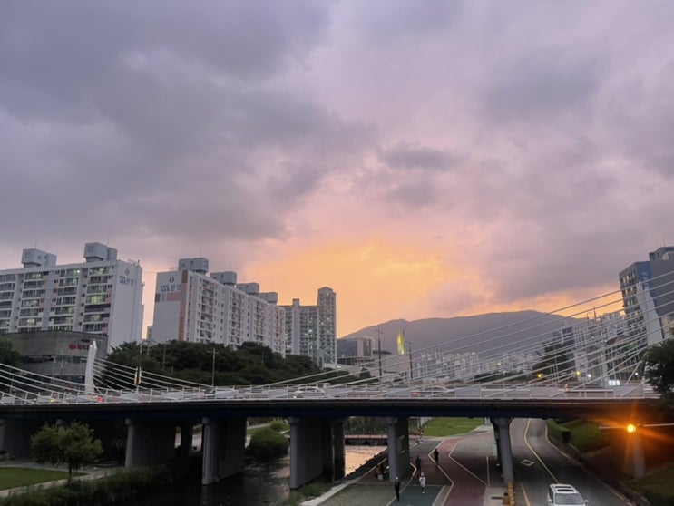 [일상 포토덤프] 6월 24일~30일 / 6월 넷째 주 일상
