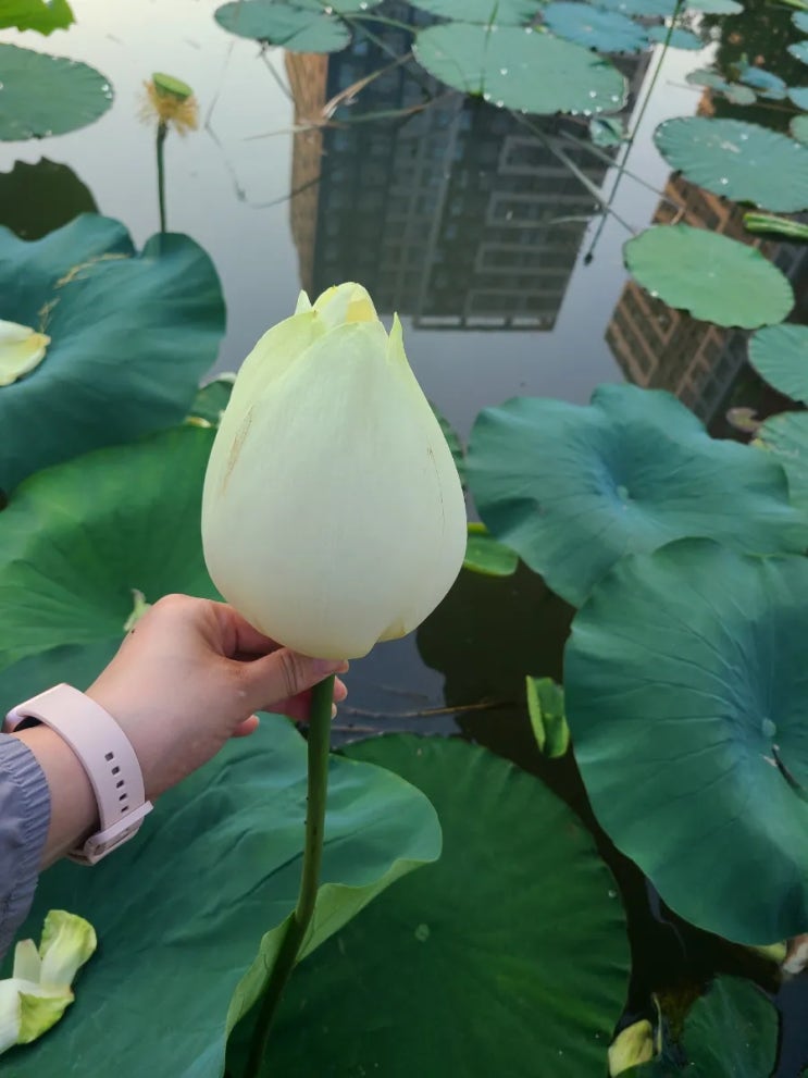  야!  근데 무엇보다 아름다운 결정은?우리가 아침에 한 결정이야!