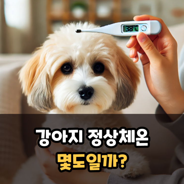  강아지 정상체온은 몇도?