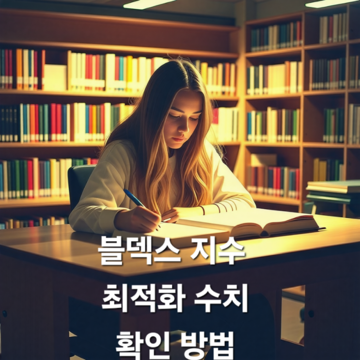  블덱스 지수 최적화수치 확인 방법