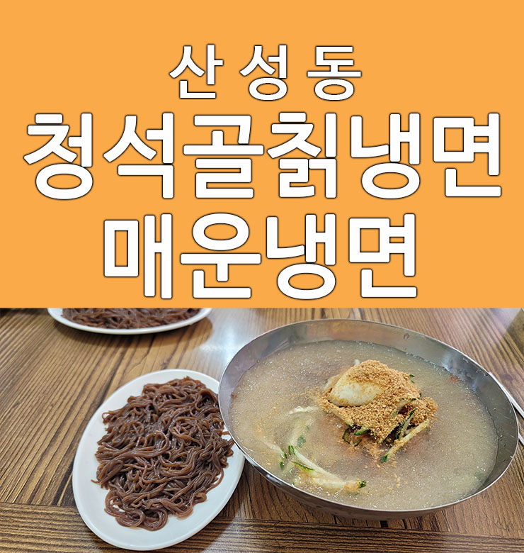  대전 산성동 맛집 청석골칡냉면 이열치열 매운냉면