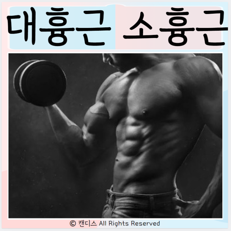  대흉근 파열 소흉근 문제 스트레칭